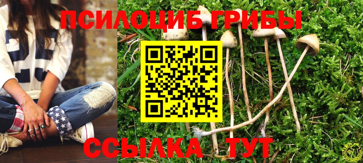 Псилоцибиновые грибы Psilocybine cubensis  Вход с VPN  Карпинск  Галлюциногенные грибы GOLDEN TEACHER 